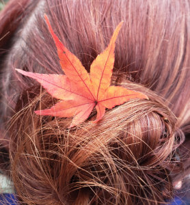 a leaf in my hair