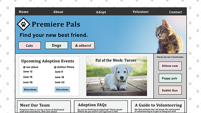 a mockup of a pet adoption site, with a striped cat on a sunny day and a white puppy looking at the camera