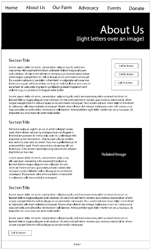 a wireframe layout for the seeds of solidarity About page