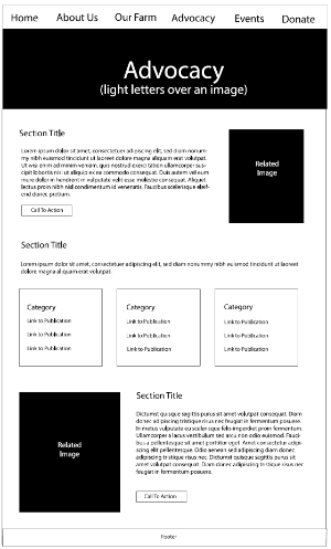 a wireframe layout for the seeds of solidarity Advocacy page