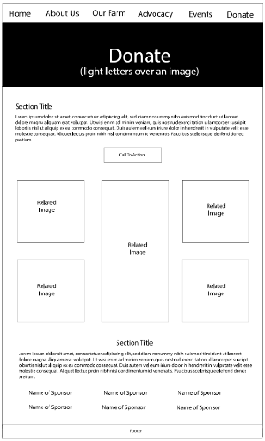 a wireframe layout for the seeds of solidarity Donate page