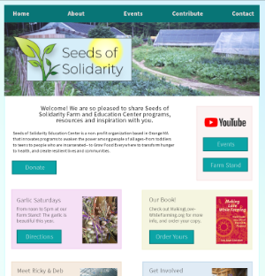 mockup 1, which has more blue and green colors, for the home page of seeds of solidarity