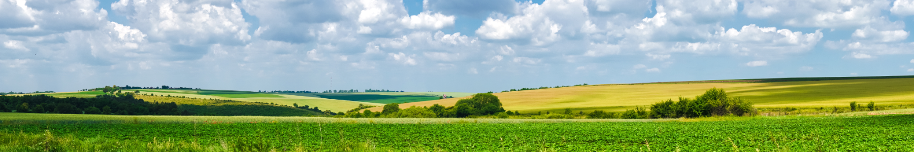 hills and farmland