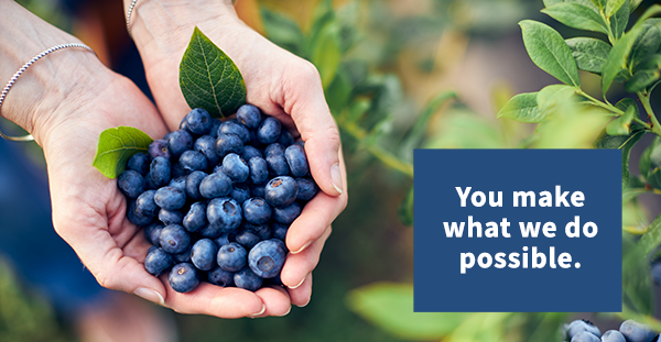 hands holding blueberries