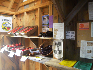 the inside of a wooden building, with baskets of fruits and vegetables