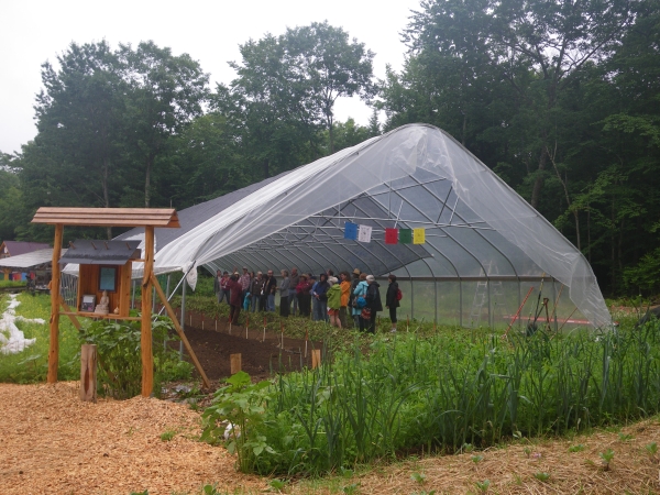 a view of a greenhouse